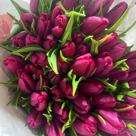 Best Flowers for Your Money in Johannesburg South: A Local Florist’s Guide