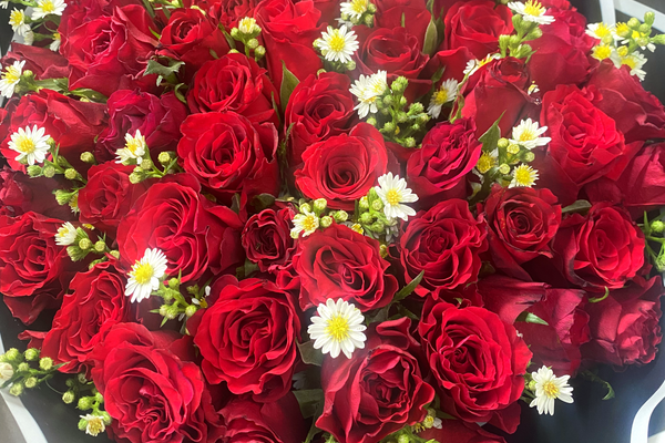 Getting the Best Flowers for Your Money in Randburg: A Practical Guide from a Local Johannesburg Florist