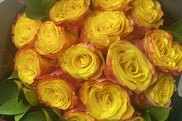 Mother’s Day Weekend Guide: Flower Ideas, Gift Tips & Delivery Options in Johannesburg
