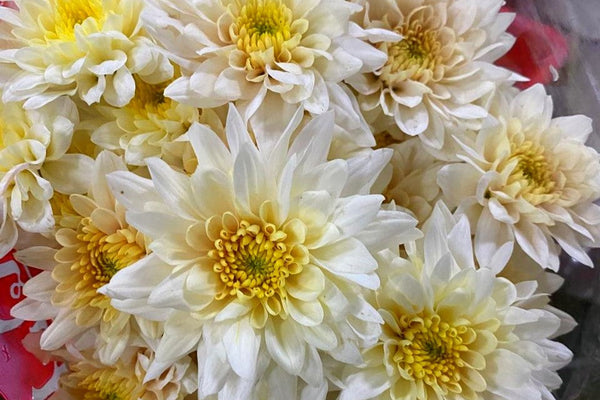 Wedding Flowers on a Budget: How to Save Without Sacrificing Style