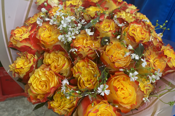 Women's Day Flower Trends: Most Popular Bouquets in Johannesburg