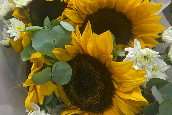 When Is Mother’s Day in South Africa? And Why Flowers Are the Perfect Gift Every Year