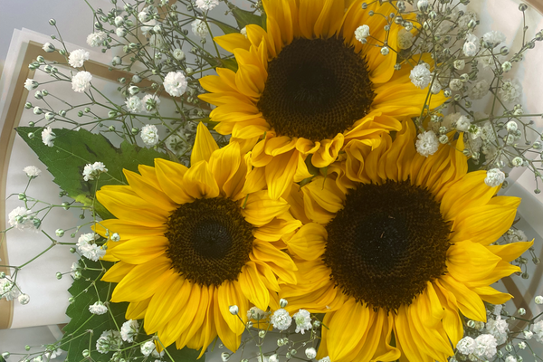 Affordable Women's Day Flower Ideas That Make a Big Impression