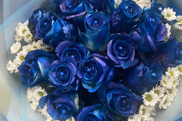 Best Flowers for Your Money in Hartbeespoort, South Africa