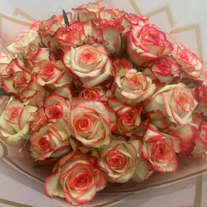Fresh Chanel Roses - Minimum 20 Stems - Dias Florist Johannesburg