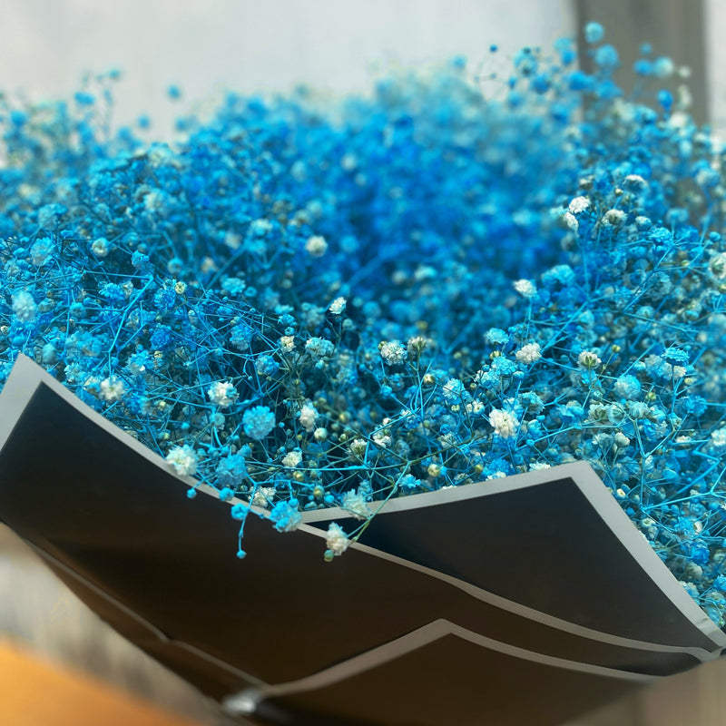 Fresh Light Blue Gypsophila - Minimum 10 Stems - Dias Florist Johannesburg