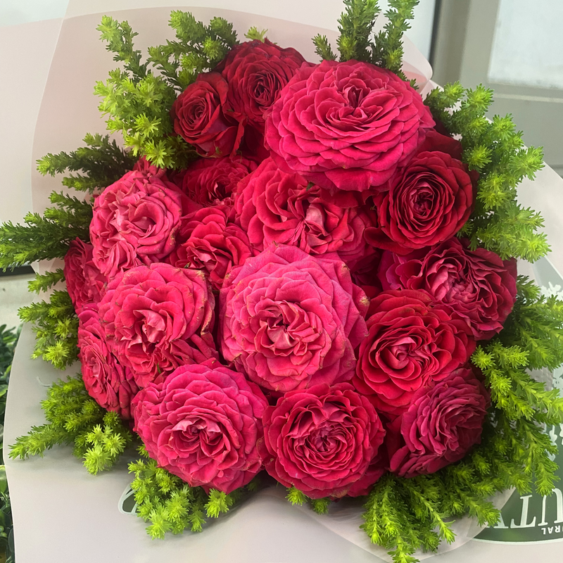 Fresh Pink Cerise Spray Roses - Minimum 10 Stems - Dias Florist Johannesburg