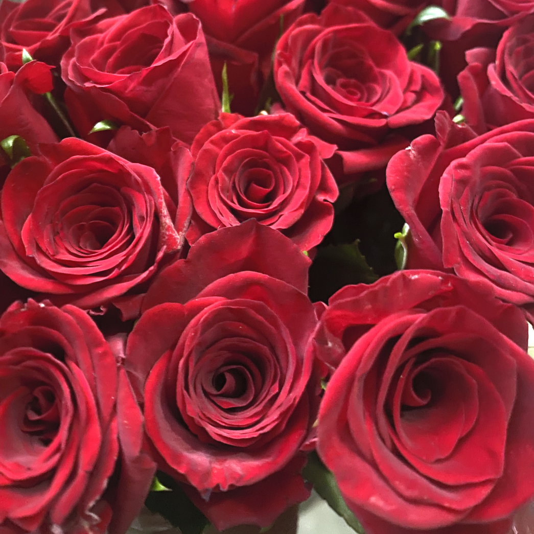 Fresh Rose Bouquet Johannesburg | Minimum 20 Stems | Florist City Deep