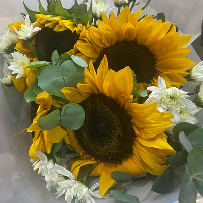 Fresh Sunflower Bouquet Johannesburg | Minimum 10 Stems | Florist City Deep