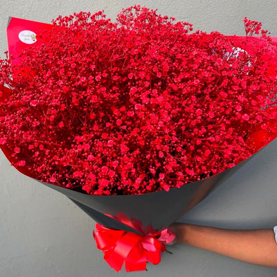 Fresh Gypsophila Bouquet Johannesburg | Minimum 10 Stems | Florist City Deep
