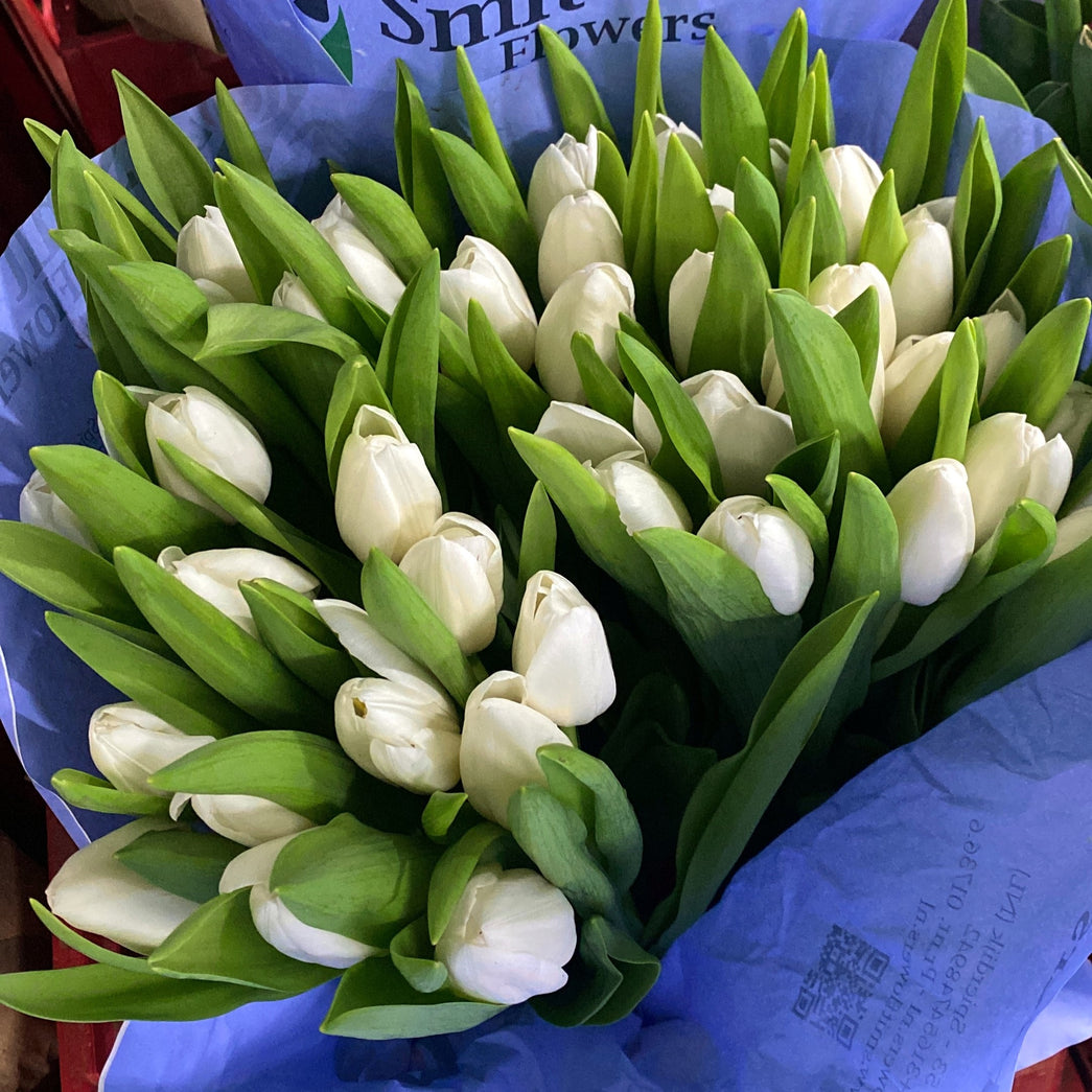 Fresh Tulip Bouquet Johannesburg | Minimum 10 Stems | Florist City Deep