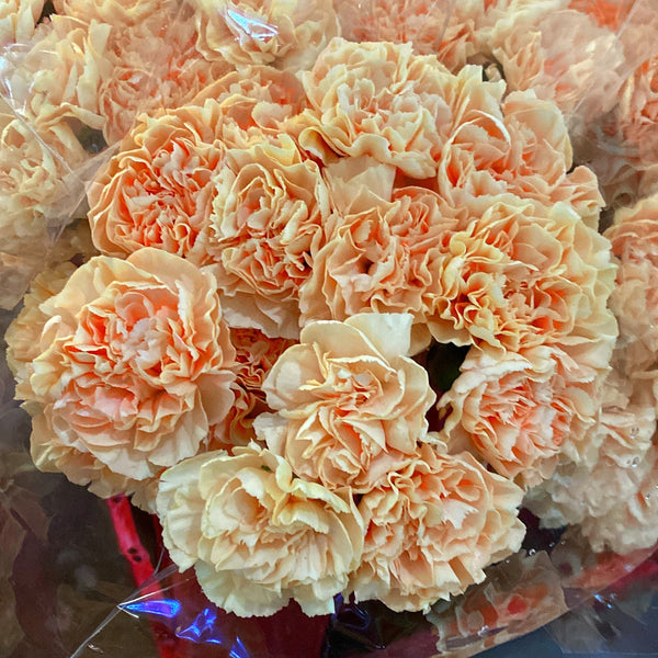 We source fresh cut flowers every day and carefully prepare each order to ensure quality, longevity, and beautiful presentation.