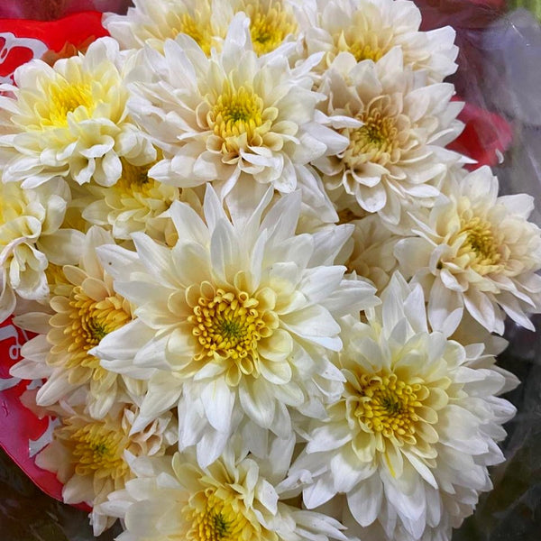 From quick bouquets to large-scale orders for funerals, weddings, hotels, hospitals, and churches, we deliver consistent results you can rely on.