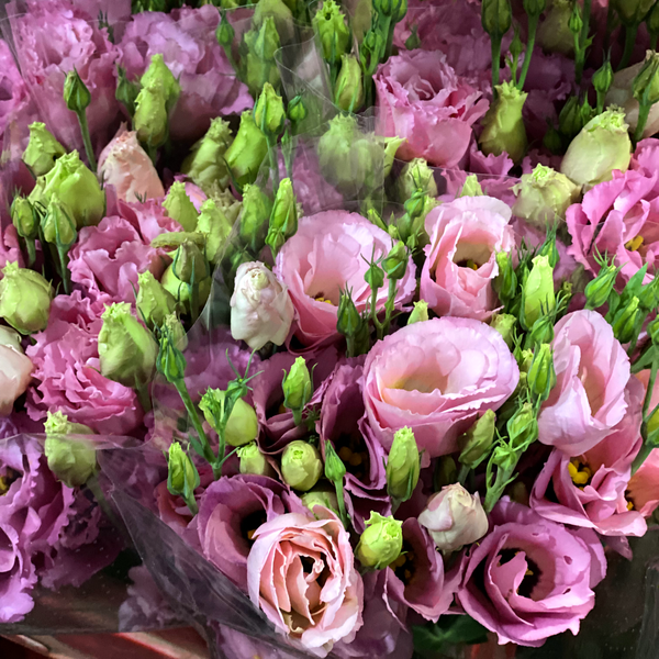 We source fresh cut flowers every day and carefully prepare each order to ensure quality, longevity, and beautiful presentation.