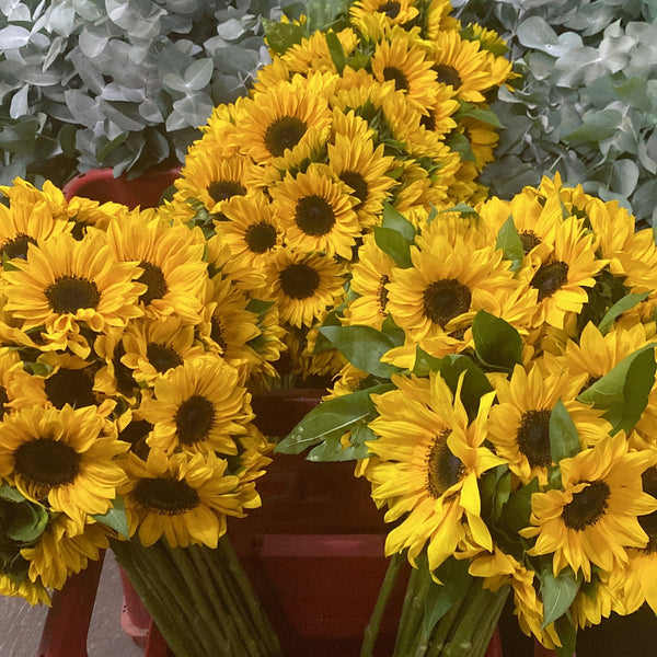 From quick bouquets to large-scale orders for funerals, weddings, hotels, hospitals, and churches, we deliver consistent results you can rely on.